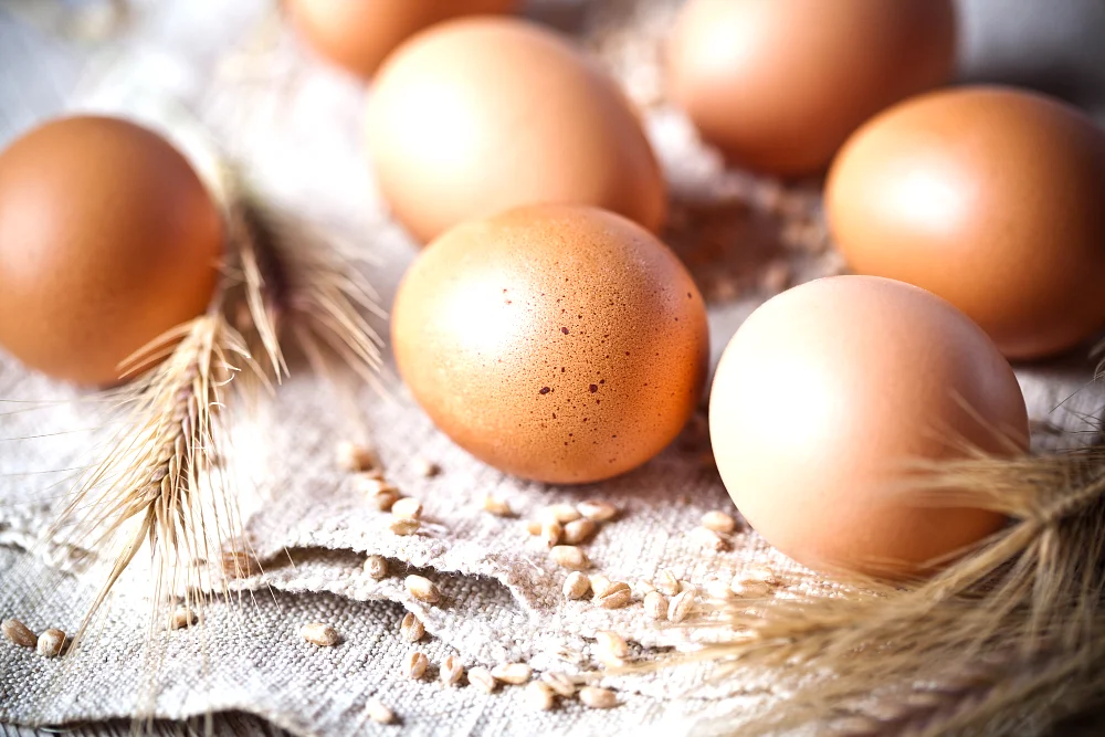 Jak i ile gotować jajka